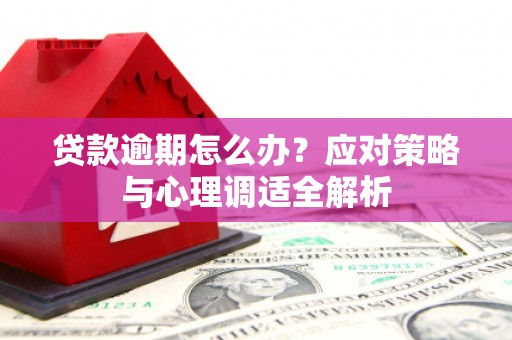 金州贷款逾期怎么办？应对策略与心理调适全解析