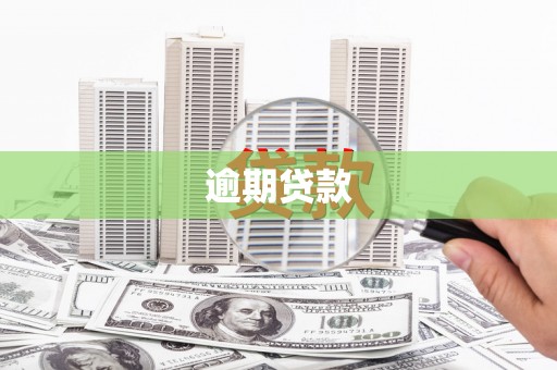 金州逾期贷款