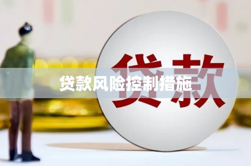金州贷款风险控制措施