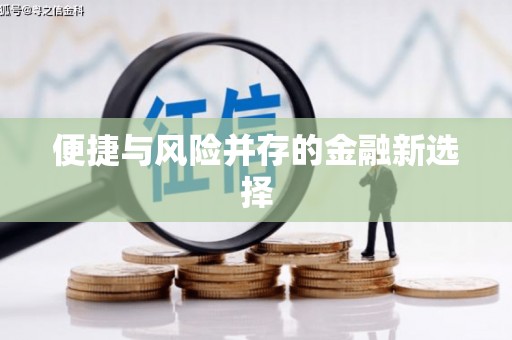 金州便捷与风险并存的金融新选择