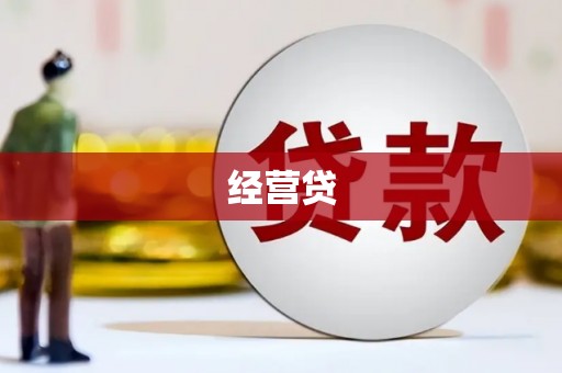 金州经营贷