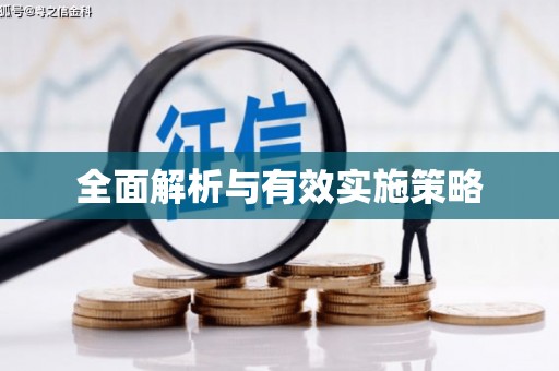金州全面解析与有效实施策略