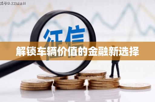 金州解锁车辆价值的金融新选择