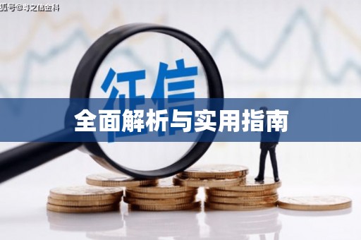 金州全面解析与实用指南