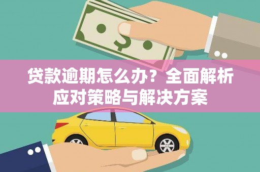 金州贷款逾期怎么办？全面解析应对策略与解决方案