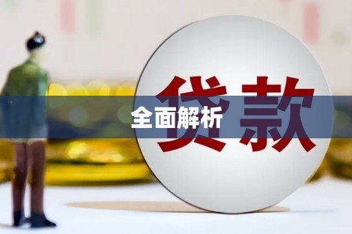 金州全面解析