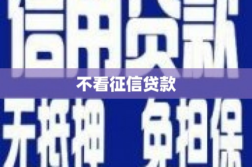 金州不看征信贷款