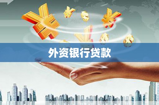 金州外资银行贷款