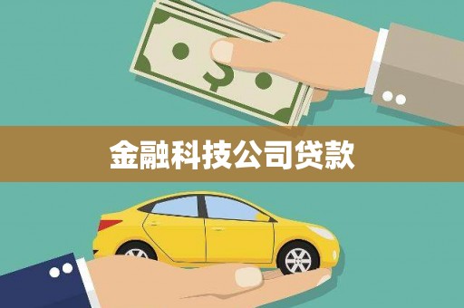 金州金融科技公司贷款