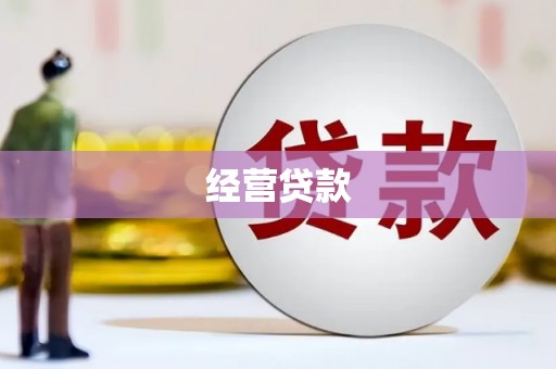 金州经营贷款