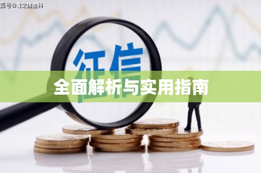 金州全面解析与实用指南