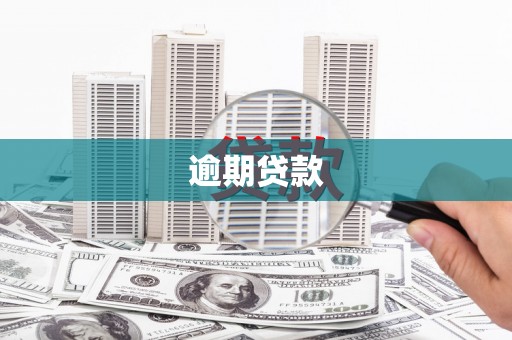金州逾期贷款