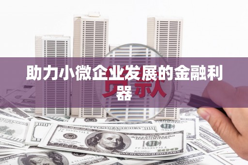 金州助力小微企业发展的金融利器