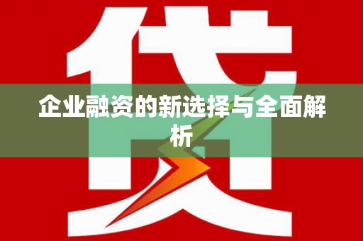 金州企业融资的新选择与全面解析