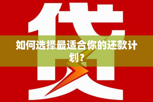 金州如何选择最适合你的还款计划？