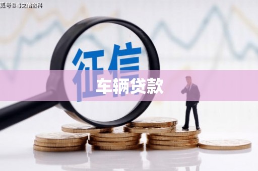 金州车辆贷款