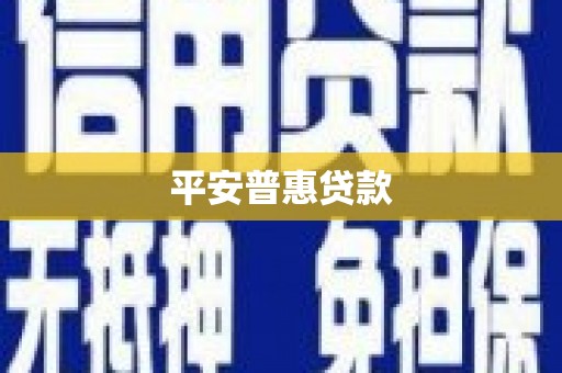 金州平安普惠贷款