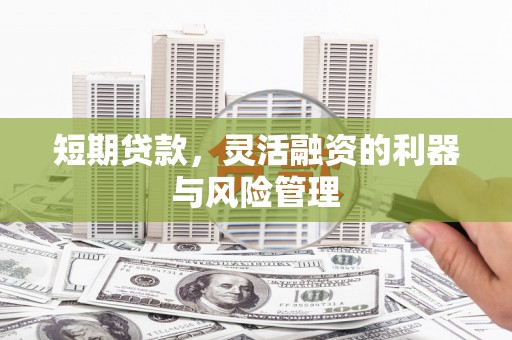 金州短期贷款，灵活融资的利器与风险管理