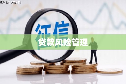 金州贷款风险管理