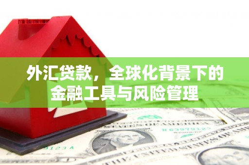 金州外汇贷款，全球化背景下的金融工具与风险管理