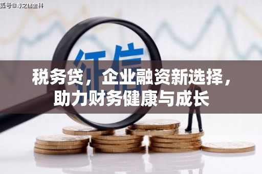 金州税务贷，企业融资新选择，助力财务健康与成长