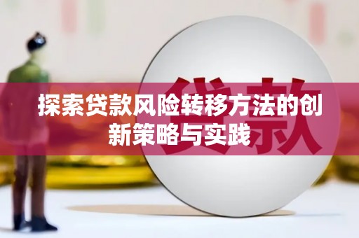 金州探索贷款风险转移方法的创新策略与实践