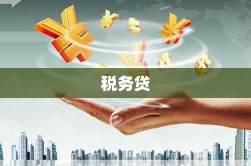 金州税务贷