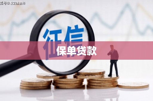 金州保单贷款 金州保单贷款